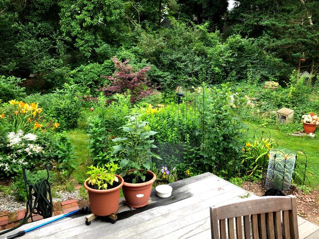 1945 Main Street, West Barnstable, MA 02668