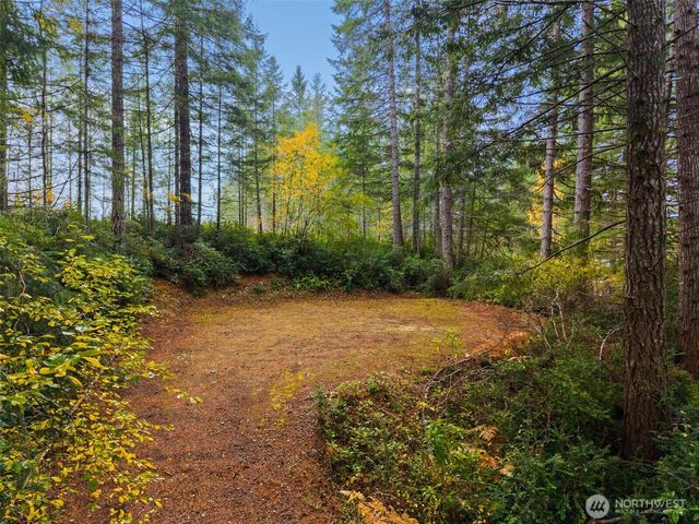 241 NE Lakeshore Drive S, Tahuya, WA 98588