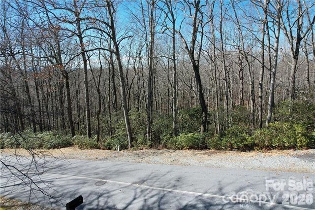 U19 L053 Gawanv Court, Brevard, NC 28712