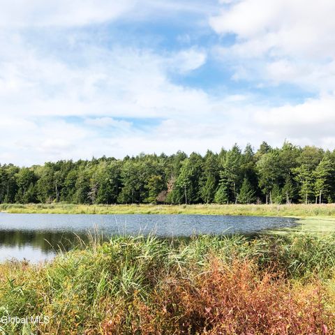 631 Brooker Hollow Road, Richmondville, NY 12149