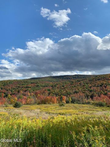 631 Brooker Hollow Road, Richmondville, NY 12149