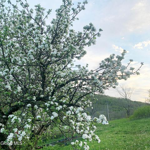 631 Brooker Hollow Road, Richmondville, NY 12149