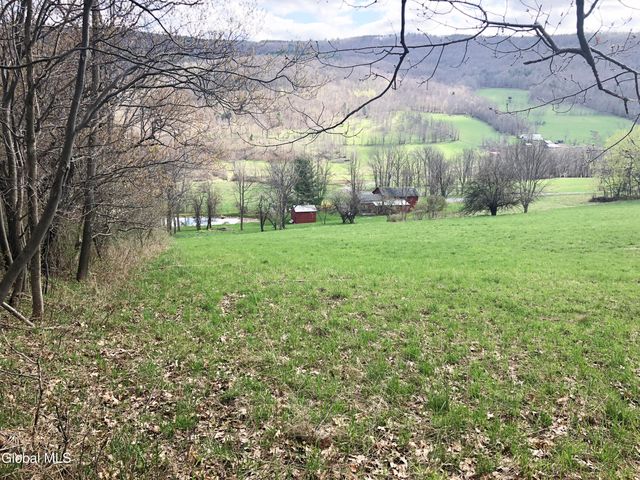 631 Brooker Hollow Road, Richmondville, NY 12149