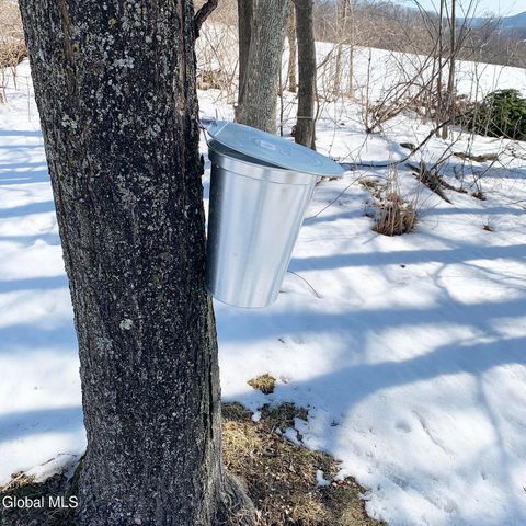 631 Brooker Hollow Road, Richmondville, NY 12149