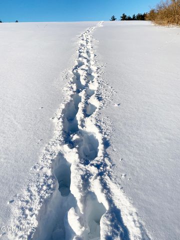 631 Brooker Hollow Road, Richmondville, NY 12149