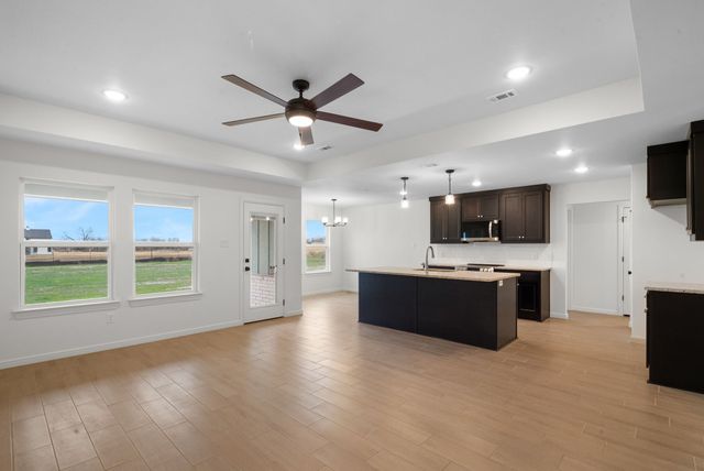 224 Yawney Drive, Lipan, TX 76462