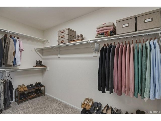 3668 Springmeadow Cir, Castle Rock, CO 80109