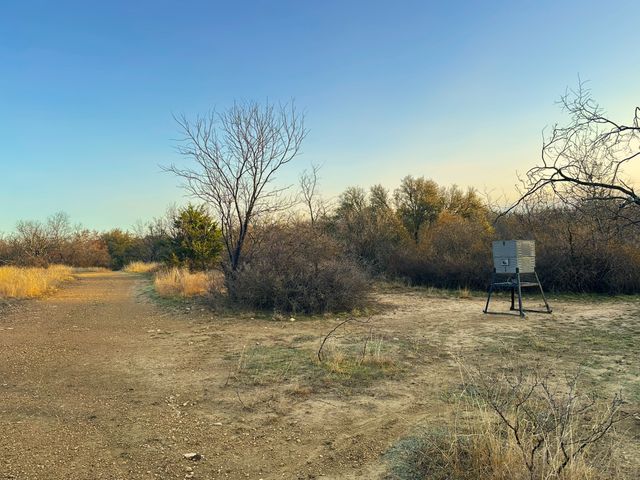 TBD S Main Street, Carbon, TX 76435