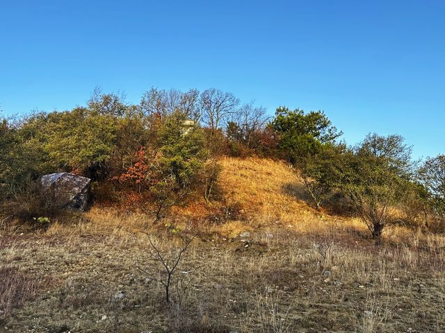 TBD S Main Street, Carbon, TX 76435