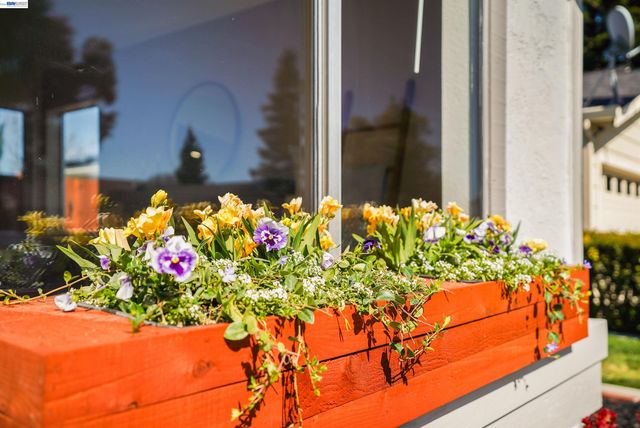 4138 Bishop Pine Way, Livermore, CA 94551