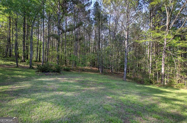 309 Russell Hill Estates Drive NW, Sugar Valley, GA 30746