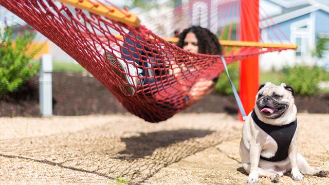 8610 Basil Hayden LN, Austin, TX 78744