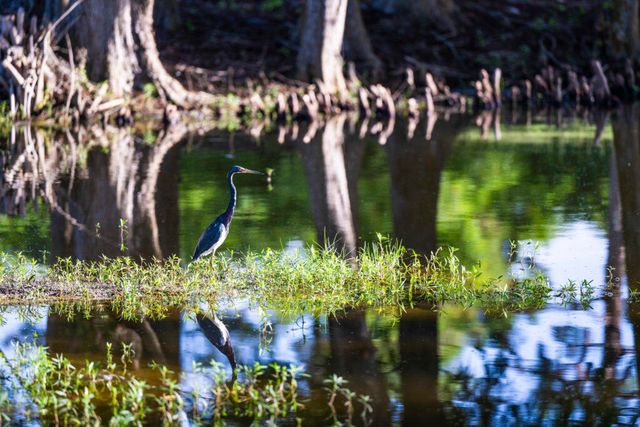 1975 SW St Andrews Drive, Palm City, FL 34990