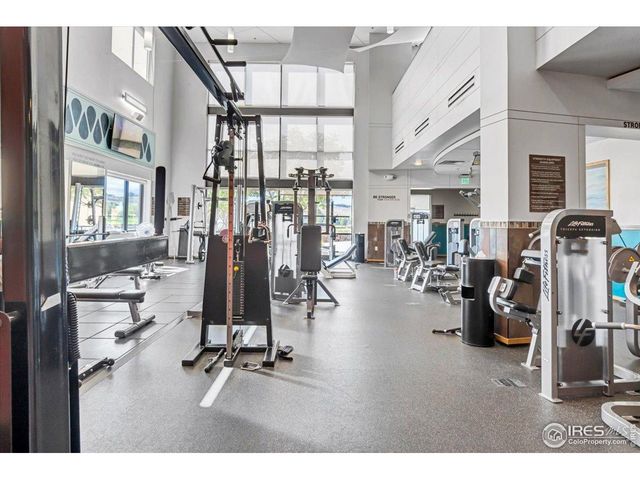 1860 Seadrift Ct, Windsor, CO 80550