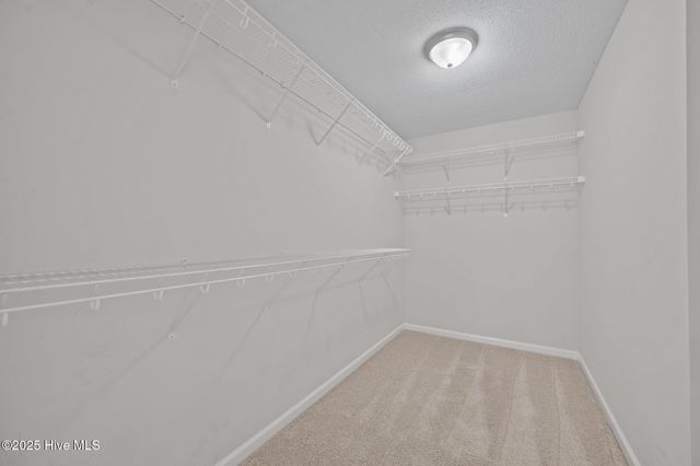 426 Boysenberry Lane, Hubert, NC 28539