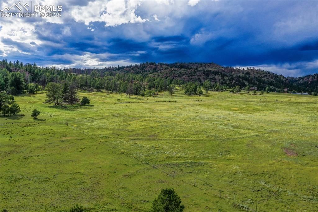 Spring Valley Drive, Florissant, CO 80816 — exterior