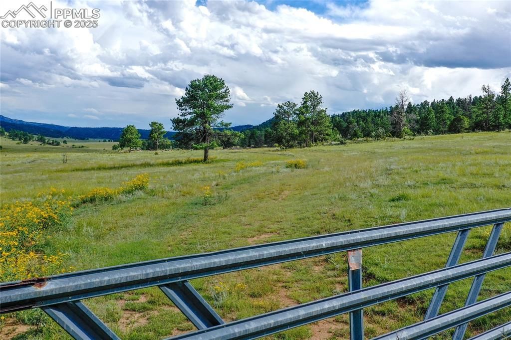 Spring Valley Drive, Florissant, CO 80816 — photo 2