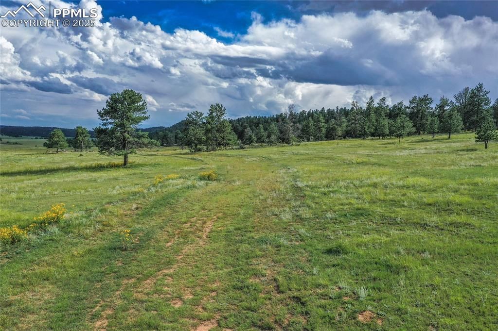 Spring Valley Drive, Florissant, CO 80816 — photo 3