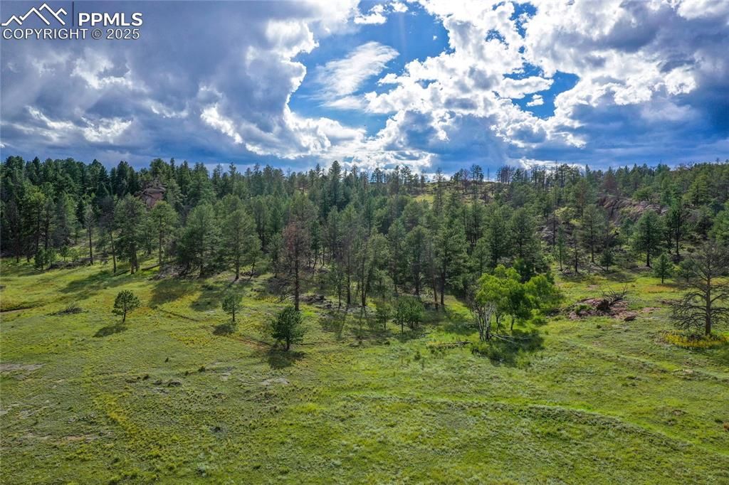 Spring Valley Drive, Florissant, CO 80816 — photo 4