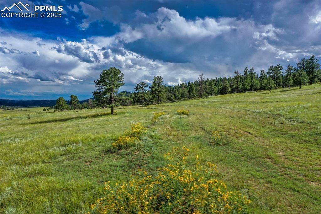 Spring Valley Drive, Florissant, CO 80816 — photo 5