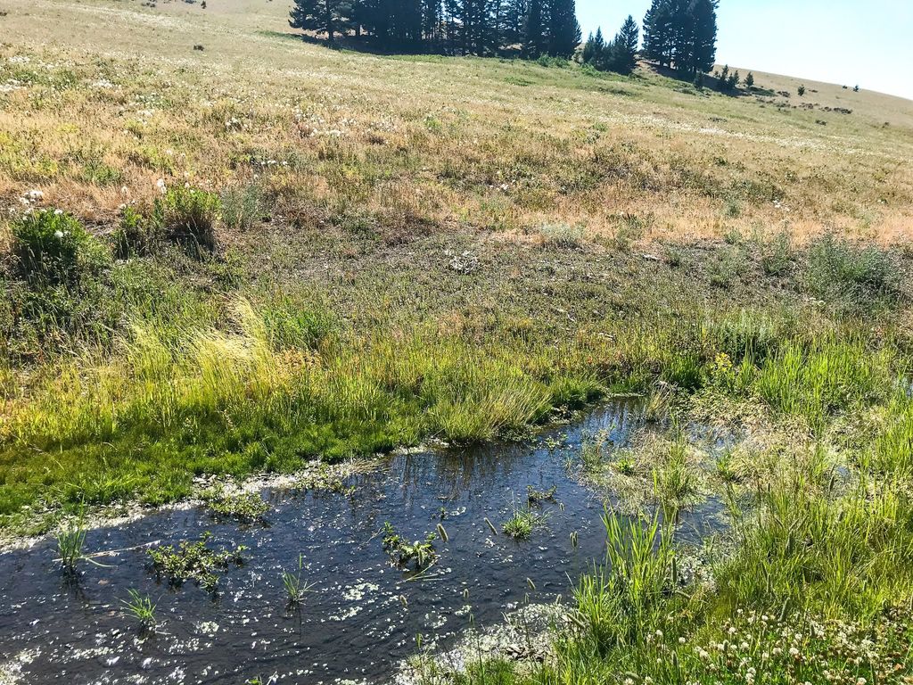 TBD Upper Deep Creek, Townsend, MT 59644 photo 10