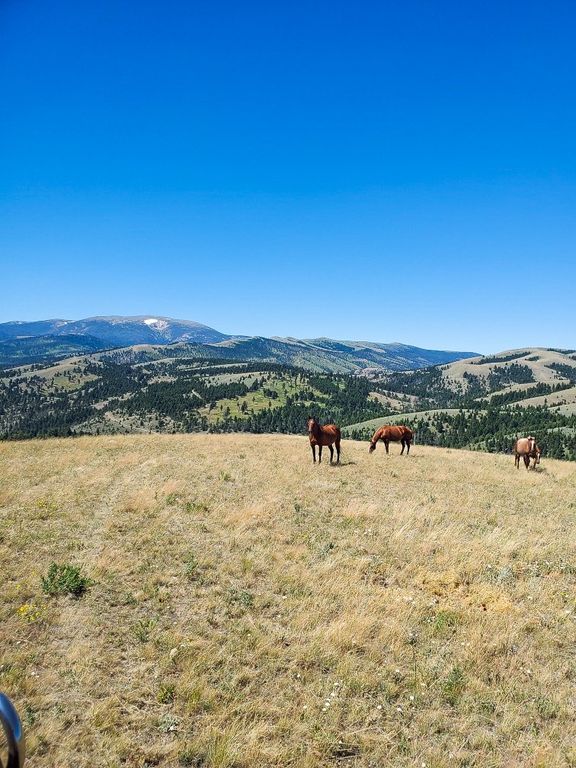 TBD Upper Deep Creek, Townsend, MT 59644 photo 13