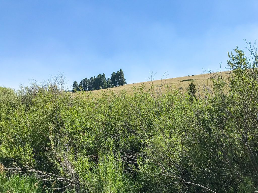 TBD Upper Deep Creek, Townsend, MT 59644 photo 2