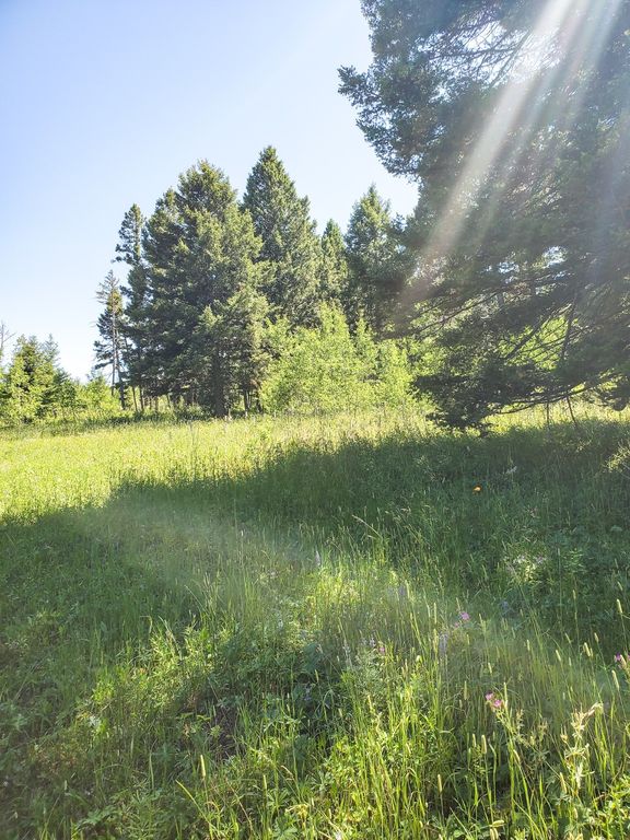 TBD Upper Deep Creek, Townsend, MT 59644 photo 20