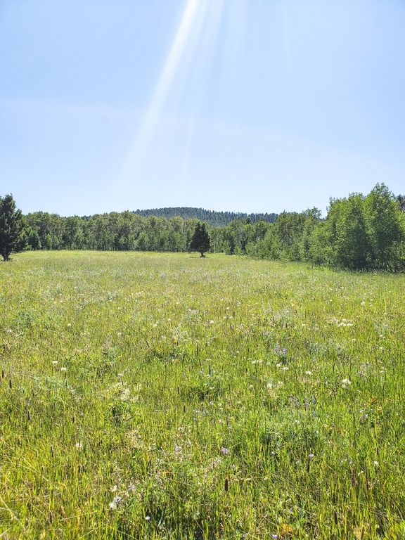 TBD Upper Deep Creek, Townsend, MT 59644 photo 22