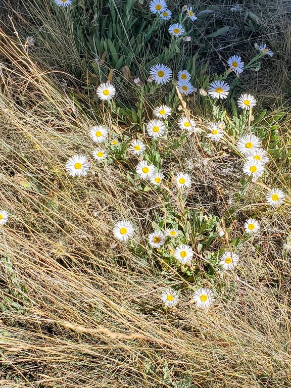 TBD Upper Deep Creek, Townsend, MT 59644 photo 24