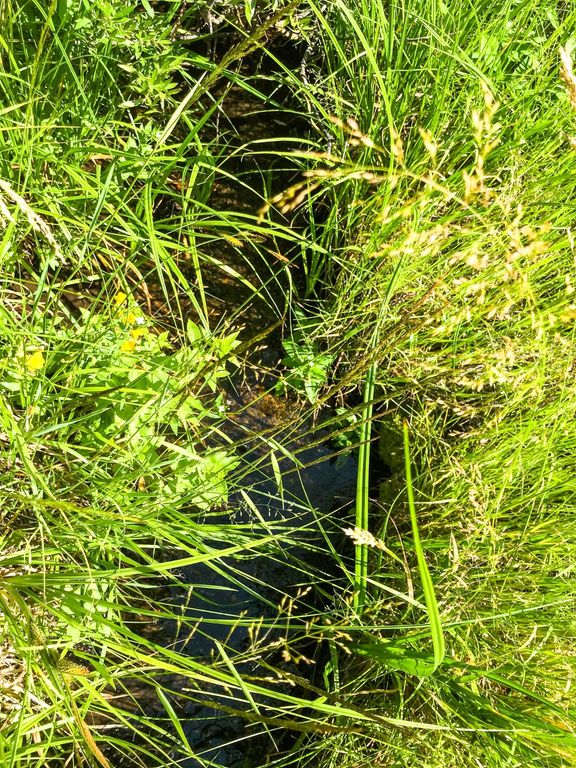 TBD Upper Deep Creek, Townsend, MT 59644 photo 3