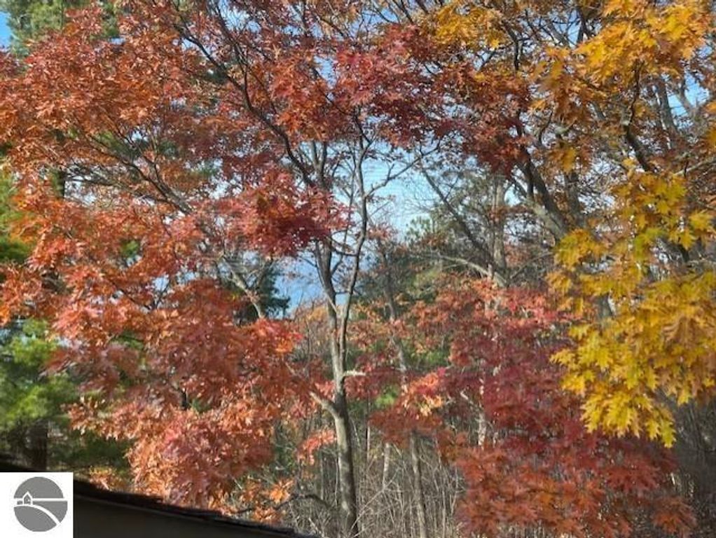 Autumn foliage featuring vibrant red and yellow leaves, showcasing the natural beauty surrounding 12C Pinnacle Place in Glen Arbor, Michigan, with glimpses of Lake Michigan in the background.