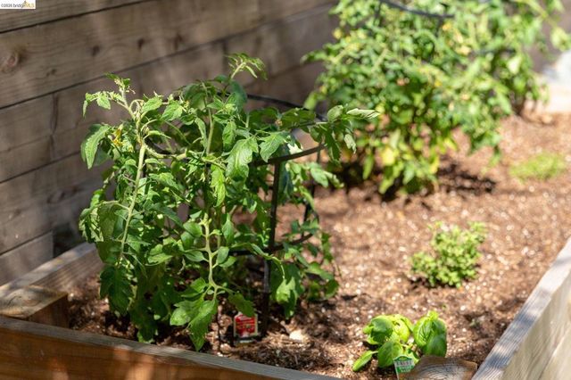 4451 Saint Andrews Rd, Oakland, CA 94605