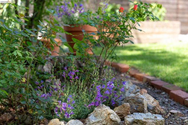 4451 Saint Andrews Rd, Oakland, CA 94605