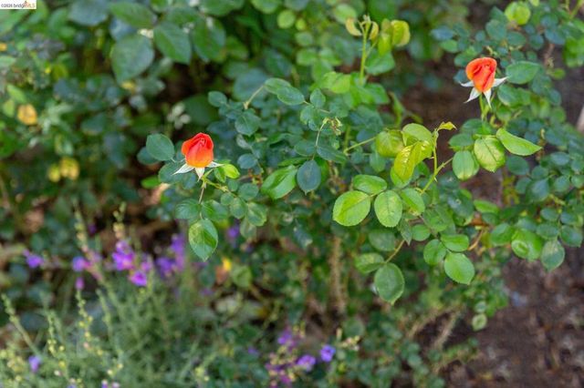 4451 Saint Andrews Rd, Oakland, CA 94605