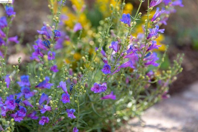 4451 Saint Andrews Rd, Oakland, CA 94605