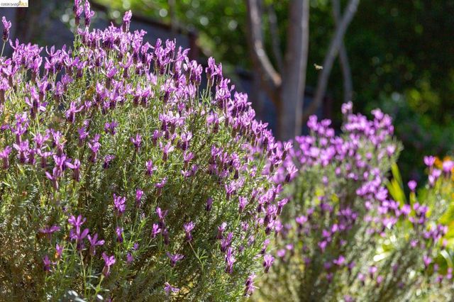 4451 Saint Andrews Rd, Oakland, CA 94605