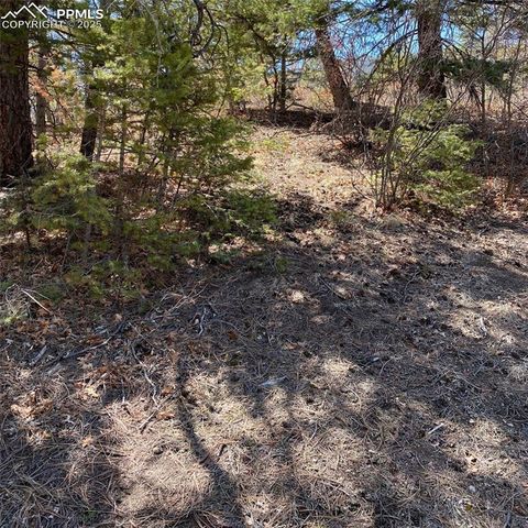 Little Turkey Creek Road, Colorado Springs, CO 80926