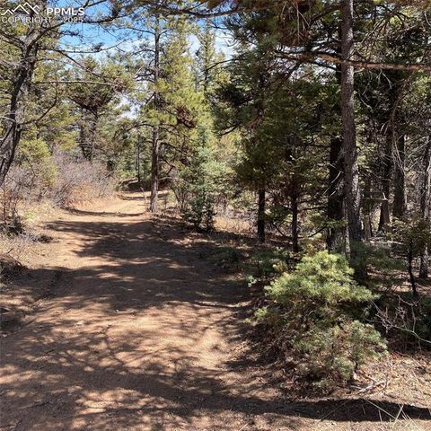 Little Turkey Creek Road, Colorado Springs, CO 80926