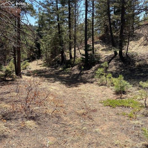 Little Turkey Creek Road, Colorado Springs, CO 80926