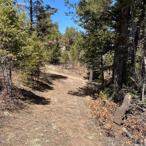 Little Turkey Creek Road, Colorado Springs, CO 80926