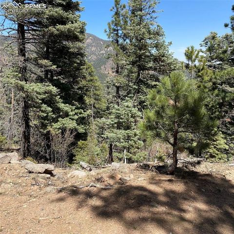 Little Turkey Creek Road, Colorado Springs, CO 80926