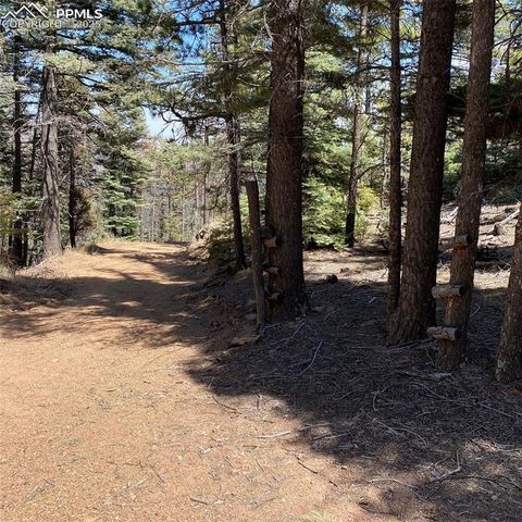 Little Turkey Creek Road, Colorado Springs, CO 80926