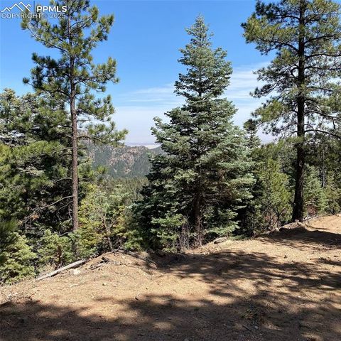 Little Turkey Creek Road, Colorado Springs, CO 80926