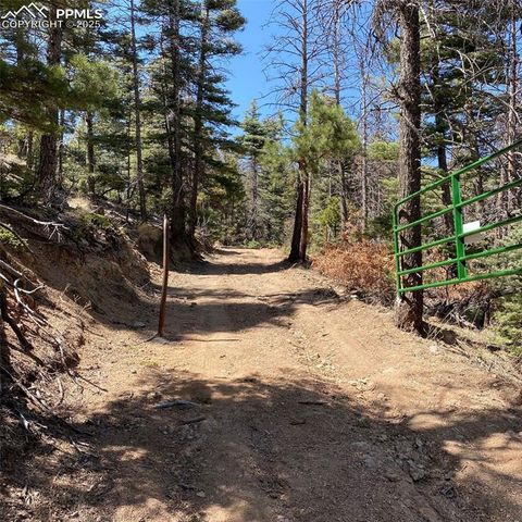 Little Turkey Creek Road, Colorado Springs, CO 80926