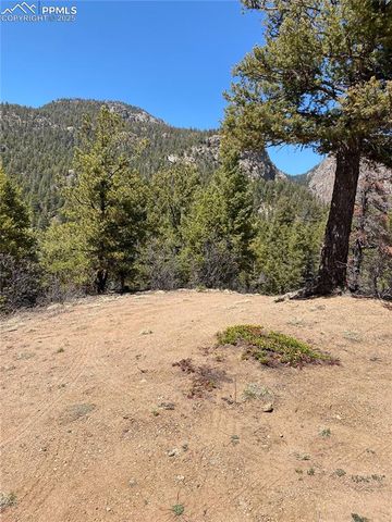 Little Turkey Creek Road, Colorado Springs, CO 80926