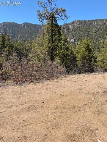 Little Turkey Creek Road, Colorado Springs, CO 80926