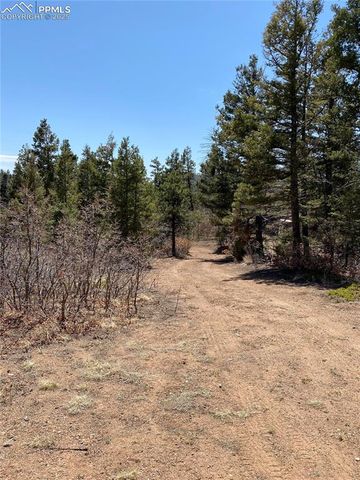 Little Turkey Creek Road, Colorado Springs, CO 80926