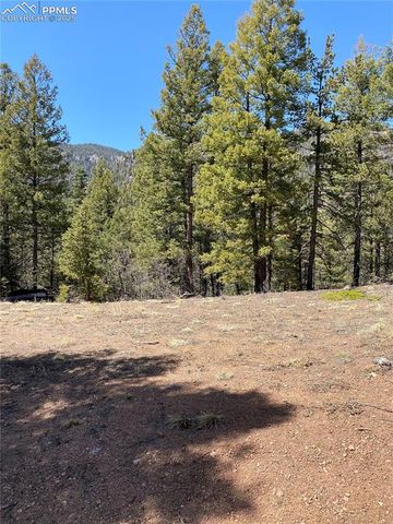 Little Turkey Creek Road, Colorado Springs, CO 80926