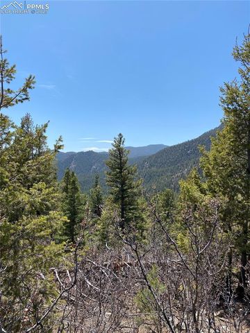 Little Turkey Creek Road, Colorado Springs, CO 80926